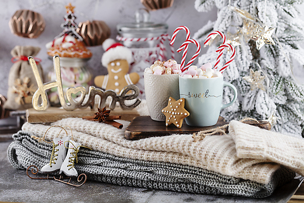 포토 JPG 해외이미지 영어 크리스마스 크리스마스용품 실내 사람없음 쿠키 미니어처 스케이트 니트 코코아 해외포토 문자 기념일 음료 스포츠용품 상의 디저트 내부 모형 용품 파일형식 이미지허브