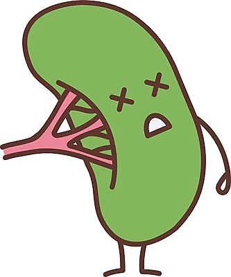 EPS 해외이미지 클립아트 캐릭터 디자인 과학 컨셉 신체 일러스트 부분 해부 건강 사람 내부 약 웹 고통 오르간 질병 만화 가득함 심볼 그림 생물학 시스템 문제 암 마디 나쁜 고립 면역력 지라 해로움 스타일 해외일러스트 일러캐릭터 교육 감정 인터넷 의학 건반악기 파일형식 벡터 이미지허브