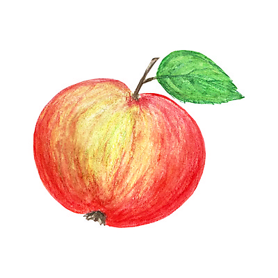 포토 JPG 해외이미지 디자인 음식 백그라운드 잎 다이어트 과일 일러스트 자연 디저트 잉크 건강 미술 사람없음 빨간색 초록색 연필 페인트 주스 수확 흰색 신선 달콤 맛 사과 오브젝트 그림 유기농 질감 손그림 내추럴 고립 숙성 영양분 채식주의자 맛있는 해외일러스트 식물 웰빙 음료 컬러 컨셉 농업 문화예술 학용품 필기구 생태계 채식 파일형식 이미지허브