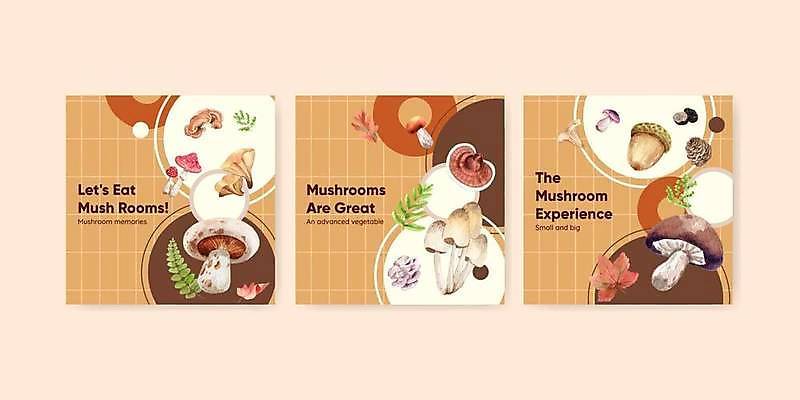 EPS 해외이미지 식물 배너 계절 음식 꽃무늬 다이어트 채소 일러스트 재료 자연 수채화 건강 장식 여름 버섯 수확 가을 신선 숲 유기농 내추럴 곰팡이 그물버섯 독버섯 마케팅 삼림지대 채식주의자 현실 비건 해외일러스트 웰빙 꽃 무늬 농업 생태계 채식 파일형식 벡터 이미지허브