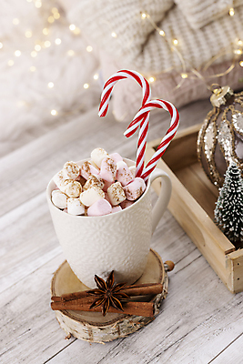 포토 JPG 해외이미지 크리스마스 크리스마스용품 실내 사람없음 아웃포커스 코코아 마시멜로우 나무받침 지팡이사탕 나무배경 팔각회향 해외포토 기념일 음료 백그라운드 디저트 촬영기법 사탕 내부 목재 받침대 향신료 용품 파일형식 이미지허브