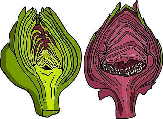 EPS 해외이미지 식물 라이프스타일 접시 디자인 꽃 음식 백그라운드 잎 농업 채소 일러스트 재료 요리 세트 지구본 저녁식사 이탈리아 수확 시골 신선 시장 오브젝트 그림 유기농 날것 고립 절임 비건 해외일러스트 식기 웰빙 유럽 산업 생활 식사 채식주의자 파일형식 벡터 이미지허브