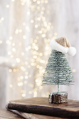 포토 JPG 해외이미지 나무 전통 디자인 계절 별 백그라운드 크리스마스 겨울 휴가 새로움 선물 사람없음 장식 빨간색 초록색 빛 상자 장난감 축제 침묵 시골 축하 인사 신용카드 연도 슛 해외포토 자연요소 식물 기념일 컬러 컨셉 금융 소리 예절 파일형식 이미지허브