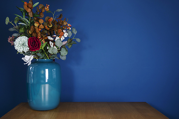 포토 JPG 해외이미지 식물 디자인 꽃 벽 분홍색 백그라운드 잎 꽃무늬 패턴 자연 탁자 휴식 주택 사람없음 내부 목재 장식 빨간색 초록색 파란색 빛 뷰티 우주 정원 꽃병 보라색 수확 흰색 시골 신선 도자기 원형 냄비 플라스틱 제비꽃 향수 아로마 시멘트 향 아로마테라피 라벤더 라일락 내추럴 거짓 콘크리트 해외포토 도형 나무 컬러 가구 컨셉 무늬 농업 재료 재질 건물 화장품 솥 허브 생태계 테라피 파일형식 이미지허브