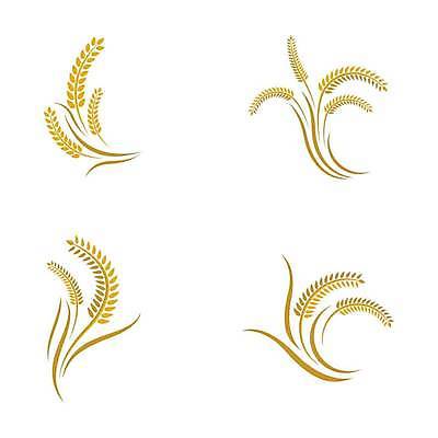 EPS 해외이미지 식물 디자인 배너 음식 빵 백그라운드 농업 다이어트 일러스트 자연 밥 건조 건강 옥수수 씨앗 농작물 농장 노란색 라벨 수확 성장 신선 시장 황금 상품 낟알 시리얼 밀 먹기 심볼 사인 유기농 보리 밀가루 스파이크 내추럴 고립 밭일 엘리먼트 귀리 해외일러스트 웰빙 산업 컬러 모션 곡류 프레임 가루 생태계 파일형식 벡터 이미지허브