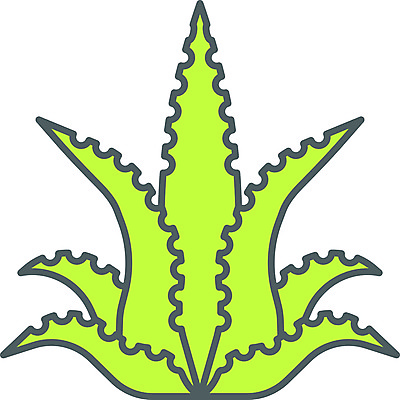 포토 JPG 해외이미지 선인장 사람없음 연두색 해외포토 식물 초록색 파일형식 이미지허브