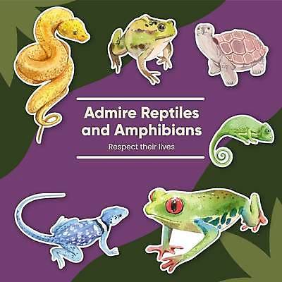 EPS 해외이미지 스티커 여러마리 일러스트 개구리 사람없음 뱀 거북이 도마뱀 손그림 엘리먼트 카멜레온 해외일러스트 다수 파충류 양서류 파일형식 벡터 이미지허브