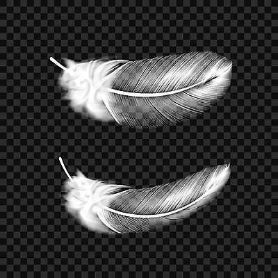 EPS 해외이미지 1 디자인 실루엣 백그라운드 날개 일러스트 자연 조류 추상 미술 그래픽 장식 빛 세트 검은색 수확 흰색 원형 매끈함 모피 수집 심볼 깃털 오브젝트 싱글 백조 문학 솜털 고립 쉬운 엘리먼트 해외일러스트 도형 동물 컬러 무늬 농업 문화예술 촬영기법 감각 생태계 파일형식 벡터 이미지허브