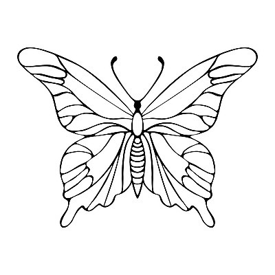 포토 JPG 해외이미지 모양 동물 손 디자인 꽃 실루엣 선 나비 곤충 백그라운드 일러스트 자연 추상 잉크 미술 사람없음 그래픽 장식 뷰티 검은색 봄 수확 흰색 화려 우아함 낙서 만화 스케치 수집 문신 심볼 그림 복고 윤곽 손그림 나방 내추럴 고립 엘리먼트 스타일 해외일러스트 식물 계절 컬러 컨셉 무늬 농업 문화예술 촬영기법 신체부위 생태계 파일형식 이미지허브