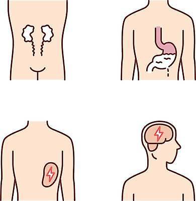 EPS 해외이미지 클립아트 디자인 컨셉 신체 일러스트 부분 해부 생물 건강 사람 내부 세트 픽토그램 약 웹 고통 오르간 신장 질병 만화 가득함 심볼 뇌 그림 생물학 팩 고립 지라 타격 항목 해로움 스타일 해외일러스트 교육 감정 인터넷 의학 모션 화장품 건반악기 비뇨기관 파일형식 벡터 이미지허브