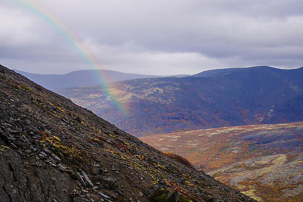 포토 JPG 해외이미지 나무 식물 계절 공원 꽃 분홍색 여행 백그라운드 무지개 꽃무늬 봄꽃 자연 하늘 휴가 산 한명 야외 빨간색 초록색 빛 강 햇빛 뷰티 환경 봄 벚꽃 시골 정상 숲 진달래 언덕 즐거움 장면 천국 내추럴 생태학 해외포토 자연요소 1 공공시설 교육 감정 컬러 무늬 사람 태양 생태계 파일형식 이미지허브