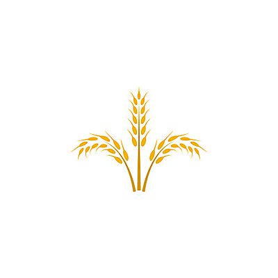 포토 JPG 해외이미지 식물 디자인 배너 음식 빵 백그라운드 농업 다이어트 일러스트 자연 밥 건조 건강 옥수수 씨앗 사람없음 농작물 농장 노란색 라벨 수확 성장 흰색 신선 시장 황금 상품 낟알 시리얼 밀 먹기 심볼 사인 유기농 보리 귀 밀가루 스파이크 내추럴 고립 밭일 엘리먼트 귀리 해외일러스트 웰빙 산업 컬러 모션 곡류 프레임 신체부위 가루 생태계 파일형식 이미지허브