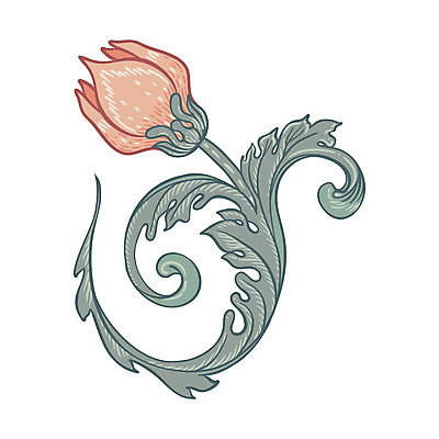 JPG 해외이미지 디자인 꽃 잎 일러스트 미술 사람없음 화려 해외일러스트 식물 컨셉 문화예술 파일형식 이미지허브