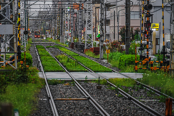 포토 JPG 해외이미지 선 자동차 주택 사람없음 야외 운전 기차 도시 역 도쿄 전차 해외포토 육상교통 교통시설 모션 대중교통 건물 일본 파일형식 이미지허브