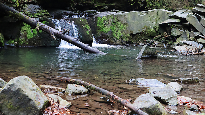 포토 JPG 해외이미지 나무 식물 계절 공원 여행 백그라운드 잎 모션 자연 하늘 산 이끼 사람없음 야외 목재 초록색 물 강 뷰티 환경 계곡 봄 폭포 젖음 흐름 신선 개울 떨어짐 숲 속도 내추럴 해외포토 자연요소 공공시설 컬러 컨셉 재료 생태계 파일형식 이미지허브