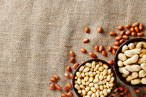 포토 JPG 해외이미지 그릇 실내 사람없음 견과류 유기농 담기 땅콩 땅콩껍질 카피스페이스 해외포토 식기 웰빙 모션 내부 공백 껍질 파일형식 이미지허브