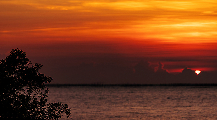 포토 JPG 해외이미지 나무 바다 태국 자연 하늘 아침 사람없음 야외 햇빛 태양 일출 해외포토 주간 자연요소 식물 아시아 노을 생태계 파일형식 이미지허브