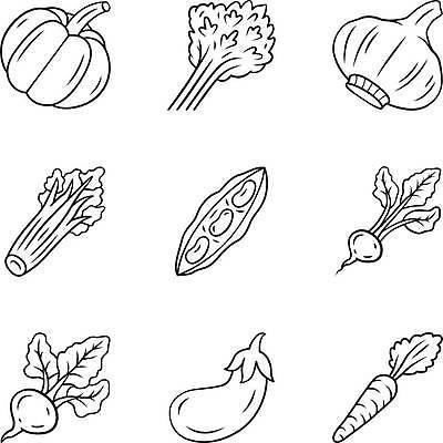 EPS 해외이미지 식물 편집 디자인 선 컨셉 농업 다이어트 채소 과일 일러스트 재료 자연 호박 가지 건강 마늘 요리 미술 픽토그램 농장 정원 웹 당근 샐러드 수확 먹기 심볼 사인 그림 에코 유기농 윤곽 팩 비타민 강낭콩 고립 비트 얇은 채식주의자 총각무 타격 항목 해외일러스트 웰빙 산업 음식 인터넷 모션 문화예술 콩 뿌리채소 환경 화장품 무 생태계 채식 영양소 파일형식 벡터 이미지허브