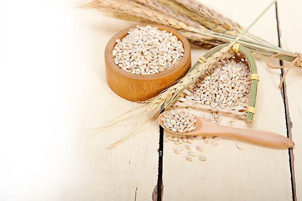 포토 JPG 해외이미지 근접촬영 사람없음 농작물 낟알 보리 보리이삭 해외포토 뷰포인트 농업 곡류 이삭 파일형식 이미지허브