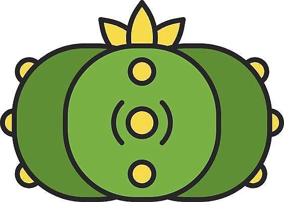 EPS 해외이미지 일러스트 선인장 사람없음 초록색 해외일러스트 식물 컬러 파일형식 벡터 이미지허브