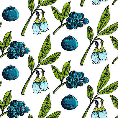 포토 JPG 해외이미지 식물 음식 백그라운드 잎 패턴 농업 다이어트 과일 일러스트 자연 잉크 건강 사람없음 그래픽 파란색 정원 수확 신선 달콤 숲 스케치 먹기 허브 메뉴 그림 유기농 블루베리 내추럴 고립 숙성 채식주의자 슈퍼푸드 비건 해외일러스트 웰빙 산업 컬러 무늬 모션 미술 맛 생태계 채식 건강식품 파일형식 이미지허브