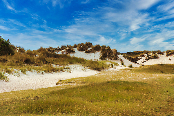 포토 JPG 해외이미지 식물 구름 꽃 섬 자연 하늘 휴가 풍경 사람없음 초록색 파란색 모래언덕 해외포토 자연요소 컬러 언덕 생태계 파일형식 이미지허브