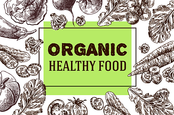 JPG 해외이미지 토마토 채소 일러스트 호박 가지 오이 사람없음 당근 브로콜리 스케치 유기농 해외일러스트 웰빙 뿌리채소 미술 파일형식 이미지허브