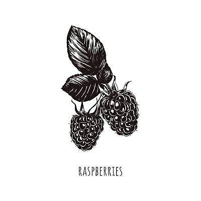 EPS 해외이미지 식물 손 디자인 열매 음식 잎 다이어트 과일 일러스트 자연 디저트 건강 미술 식당 정원 수확 나뭇가지 신선 달콤 숲 스케치 수집 허브 메뉴 그림 유기농 복고 산딸기 내추럴 고립 숙성 채식주의자 해외일러스트 나무 웰빙 농업 문화예술 신체부위 상점 맛 생태계 채식 파일형식 벡터 이미지허브