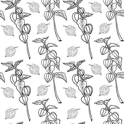 EPS 해외이미지 식물 손 디자인 계절 선 음식 백그라운드 잎 꽃무늬 패턴 다이어트 토마토 과일 일러스트 자연 벽지 수채화 건강 미술 그래픽 세트 갈색 정원 나뭇가지 신선 얼룩 황금 스케치 수집 그림 유기농 질감 손그림 비타민 내추럴 해외일러스트 나무 웰빙 꽃 컬러 무늬 채소 문화예술 신체부위 생태계 영양소 파일형식 벡터 이미지허브