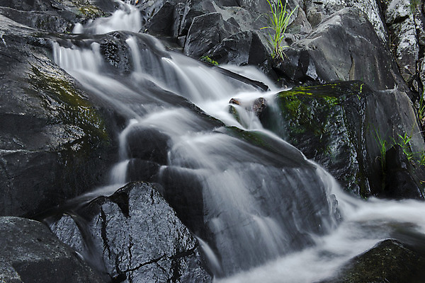 포토 JPG 해외이미지 공원 잎 자연 풍경 사람없음 야외 물 침묵 폭포 신선 호주 떨어짐 내추럴 해외202004 해외포토 자연요소 식물 공공시설 컨셉 소리 오세아니아 생태계 파일형식