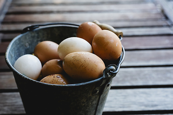 포토 JPG 해외이미지 음식 건강 사람없음 갈색 계란 신선 상품 양동이 유기농 날것 내추럴 해외202004 해외포토 웰빙 컬러 알 파일형식