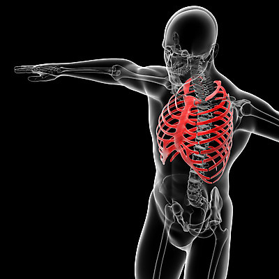 포토 JPG 해외이미지 모양 남자 실루엣 과학 백그라운드 신체 일러스트 부분 해부 뼈 골격 엑스레이 병원 사람 사람없음 파란색 약 검은색 구멍 투명 오르간 가장자리 질병 흉부 가슴 척추 어깨 그림 생물학 새장 갈비뼈 궤 연골 요통 해외202004 해외포토 교육 컬러 의학 촬영기법 신체부위 건반악기 호흡기관 둘레 케이지 허리통증 파일형식