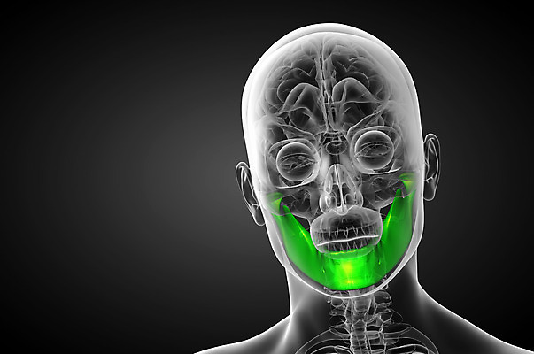 포토 JPG 해외이미지 해부 뼈 골격 엑스레이 건강 사람 사람없음 머리 3D 죽음 치아 턱 해골모형 해외202004 해외포토 의학 신체부위 모형 소화기관 디지털합성 파일형식