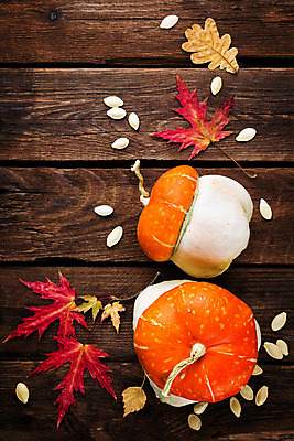 포토 JPG 해외이미지 전통 계절 행복 음식 백그라운드 잎 농업 채소 오렌지 자연 벽지 탁자 호박 휴가 사람없음 목재 장식 빨간색 농장 노란색 우주 주방 식사 어둠 할로윈 수확 가을 시골 축하 인사 신선 신용카드 황금 정상 작음 심볼 박 추수감사절 스쿼시 옛날 채식주의자 해외202004 해외포토 나무 식물 감정 산업 기독교 스포츠 컬러 가구 컨셉 과일 재료 금융 구기 예절 크기 생태계 채식 파일형식