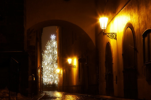 포토 JPG 해외이미지 나무 외관 유럽 도로 벽 크리스마스 건축양식 창문 조명 거리 그림자 사람없음 야외 건물 빛 어둠 침묵 황혼 새벽 장비 안개 등불 램프 도시 수수께끼 고독 야간 신비 무서움 좁은 장면 지역 체코 프라하 타운 빛망울 공화국 구식 뿌연 해외202004 해외포토 자연요소 식물 건축물 기념일 건축 감정 나라 길 컨셉 교통시설 날씨 소리 일몰 파일형식