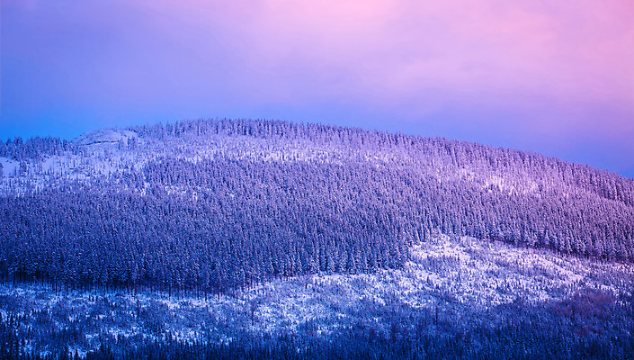 포토 JPG 해외이미지 나무 계절 공원 유럽 분홍색 여행 겨울 자연 하늘 아침 날씨 휴가 산 파노라마 풍경 사람없음 야외 목재 파란색 컬러풀 평화 일출 맑음 보라색 황혼 일몰 놀람 트래킹 추위 덮개 소나무 황무지 정상 야간 저녁 숲 장면 침엽수 전나무 눈내림 가문비나무 해외202004 해외포토 주간 자연요소 식물 공공시설 감정 나라 컬러 컨셉 재료 레저 눈_날씨 촬영기법 표정 노을 뚜껑 생태계 파일형식