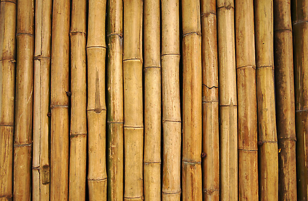 포토 JPG 해외이미지 나무 전통 디자인 아시아 선 벽 백그라운드 건축양식 벽지 추상 동양인 사람없음 목재 장식 갈색 노란색 정원 일본 중국 줄무늬 수확 나뭇가지 원형 막대기 숲 다발 원예 질감 파이프 내추럴 옛날 해외202004 해외포토 도형 식물 건축 나라 컬러 무늬 농업 재료 인종 취미 파일형식