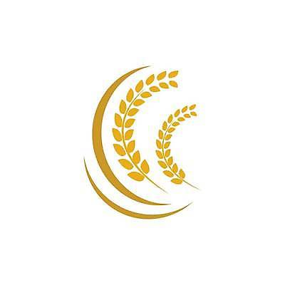 EPS 해외이미지 식물 디자인 배너 음식 빵 백그라운드 농업 다이어트 일러스트 자연 밥 건조 건강 옥수수 씨앗 농작물 농장 노란색 라벨 수확 성장 신선 시장 황금 상품 낟알 시리얼 밀 먹기 심볼 사인 유기농 보리 밀가루 스파이크 내추럴 고립 밭일 엘리먼트 귀리 해외일러스트 웰빙 산업 컬러 모션 곡류 프레임 가루 생태계 파일형식 벡터 이미지허브