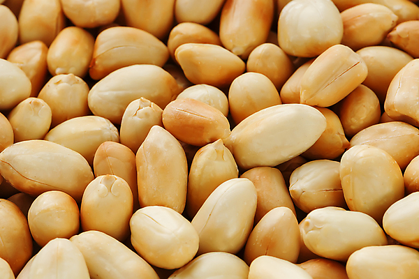 포토 JPG 해외이미지 백그라운드 실내 사람없음 견과류 가득함 유기농 땅콩 해외포토 웰빙 내부 파일형식 이미지허브