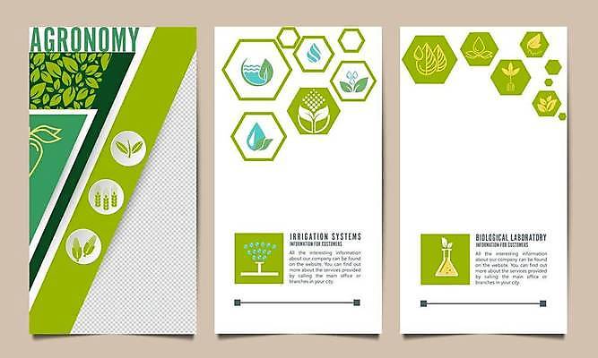 EPS 해외이미지 식물 포스터 잎 일러스트 사람없음 초록색 세트 농사 벼 물방울 삼각플라스크 육각형 스프링쿨러 해외일러스트 도형 컬러 농업 곡류 플라스크 파일형식 벡터 이미지허브