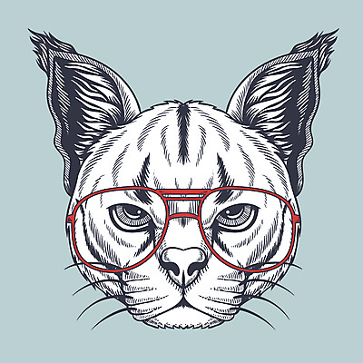 EPS 해외이미지 안경 일러스트 사람없음 심볼 스라소니 안경낌 해외일러스트 잡화 포유류 파일형식 벡터 이미지허브