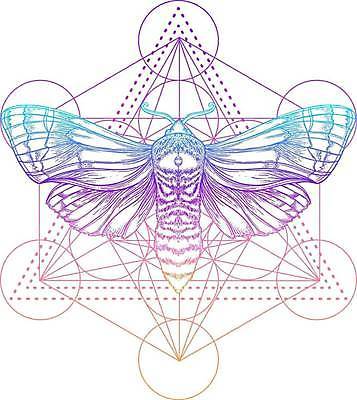 EPS 해외이미지 나비 곤충 백그라운드 스티커 패턴 일러스트 부분 자연 동양인 그래픽 장식 컬러풀 활발 수확 흰색 원형 화려 야간 신비 인도인 문신 심볼 사인 그림 신성 마법 기하학 나방 부족 고딕 만다라 신맛 파스텔톤 환각 히피 힙스터 해외일러스트 자연요소 도형 외국인 동물 패션 컬러 컨셉 무늬 농업 인종 맛 생태계 증상 파일형식 벡터 이미지허브