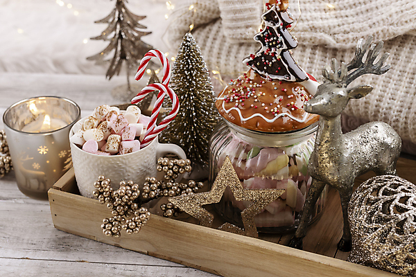 포토 JPG 해외이미지 별 크리스마스 크리스마스용품 사슴 실내 사람없음 크리스마스트리 미니어처 향초 코코아 마시멜로우 지팡이사탕 나무배경 해외포토 자연요소 기념일 음료 백그라운드 초 포유류 디저트 사탕 내부 모형 용품 파일형식 이미지허브