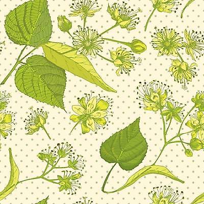 EPS 해외이미지 나무 식물 템플릿 디자인 꽃 선 백그라운드 낙엽 잎 패턴 일러스트 재료 자연 미술 목재 치료 초록색 여름 세트 약 노란색 검은색 수확 골동품 벚꽃 흰색 나뭇가지 차 숲 스케치 약국 허브 그림 손그림 판화 아로마테라피 고립 세이지 해외일러스트 계절 음료 컬러 무늬 농업 의학 문화예술 생태계 테라피 파일형식 벡터 이미지허브