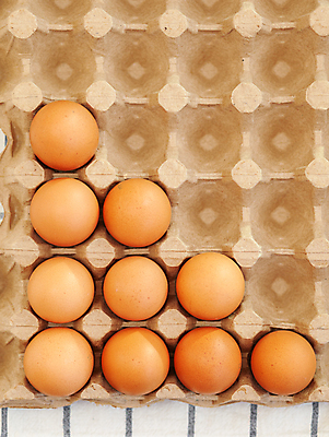 포토 JPG 해외이미지 실내 사람없음 하이앵글 계란 계단식 계란판 해외포토 뷰포인트 내부 알 파일형식 이미지허브