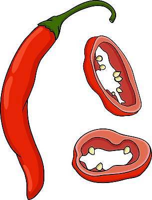 EPS 해외이미지 음식 백그라운드 채소 일러스트 재료 고추 건강 요리 미술 그래픽 빨간색 초록색 세트 우주 추위 흰색 뜨거움 그룹 맛 심볼 향신료 오브젝트 사인 그림 유기농 매움 날카로움 향료 후추 비타민 칠레 내추럴 고립 숙성 채식주의자 해외일러스트 웰빙 컬러 컨셉 문화예술 남아메리카 채식 향기 냄새 영양소 향미료 파일형식 벡터 이미지허브