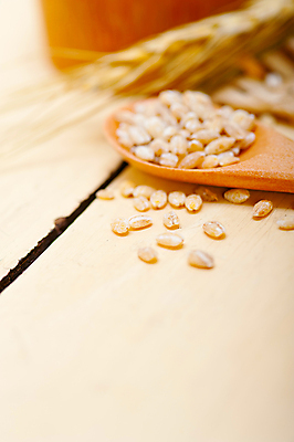 포토 JPG 해외이미지 근접촬영 사람없음 농작물 낟알 보리 보리이삭 해외포토 뷰포인트 농업 곡류 이삭 파일형식 이미지허브