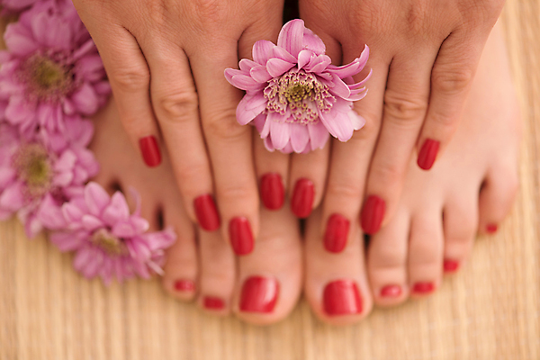 포토 JPG 해외이미지 손 꽃 발 신체부위 네일아트 페디큐어 해외포토 식물 사람 뷰티 파일형식 이미지허브