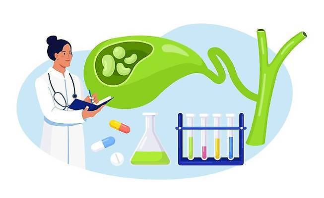 EPS 해외이미지 여자 하늘색 일러스트 건강 한명 들기 상반신 성인 책 알약 펜 건강관리 의사 기록 질병 시험관 삼각플라스크 쓸개 성인여자한명만 해외일러스트 1 의학 모션 실험기구 관리 사람 파란색 필기구 약 의료진 장기_의학 플라스크 여자한명만 성인여자만 파일형식 벡터 이미지허브