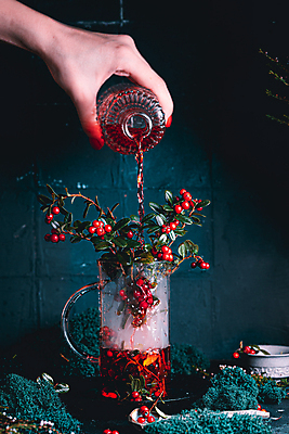 포토 JPG 해외이미지 열매 음료 겨울 과일 유리 따뜻함 건강 요리 사람없음 빨간색 식당 저녁식사 주스 카페 빵집 칵테일 뜨거움 달콤 맛 아침식사 숲 레모네이드 민트 메뉴 유기농 레시피 채식주의자 크랜베리 맛있는 해외포토 식물 웰빙 계절 컬러 컨셉 재질 주류 상점 식사 허브 채식 에이드 파일형식 이미지허브